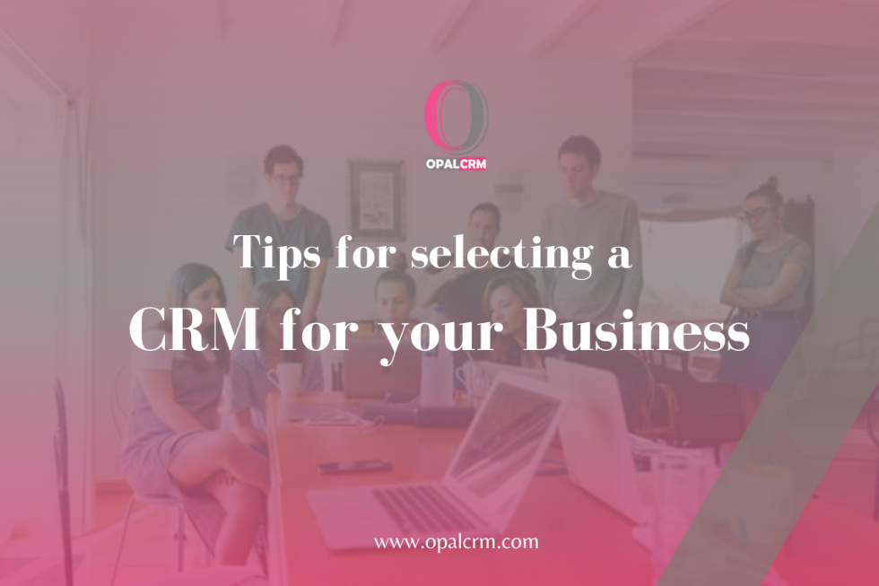 Tips for selecting a CRM for your Business - Opal CRM