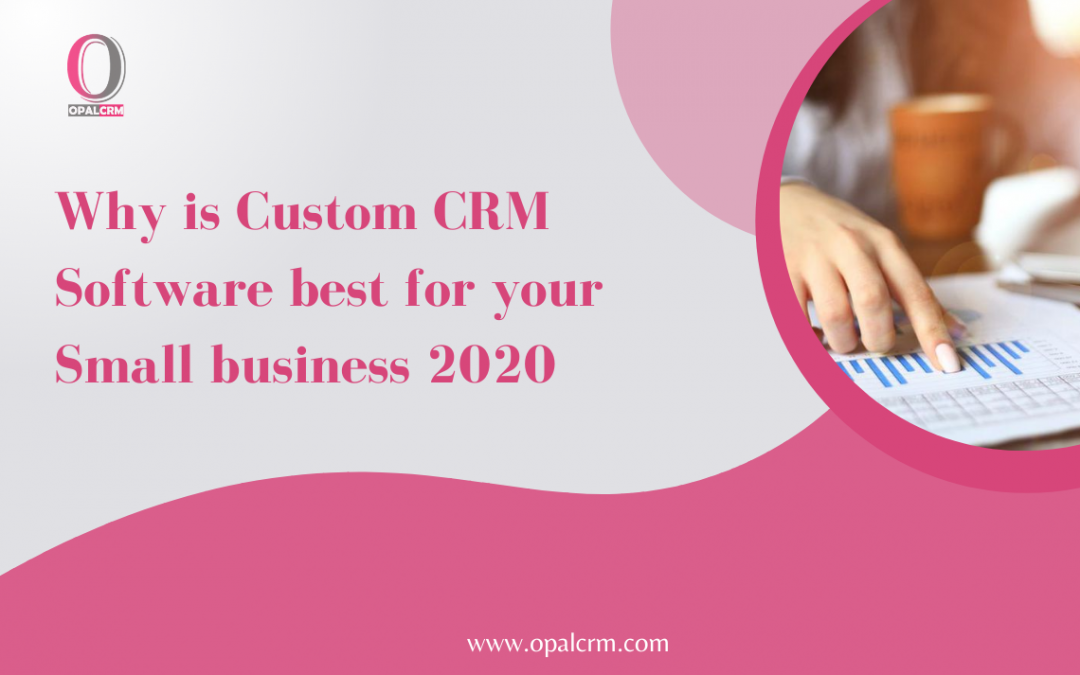 Why is Custom CRM Software best for your Small business 2020